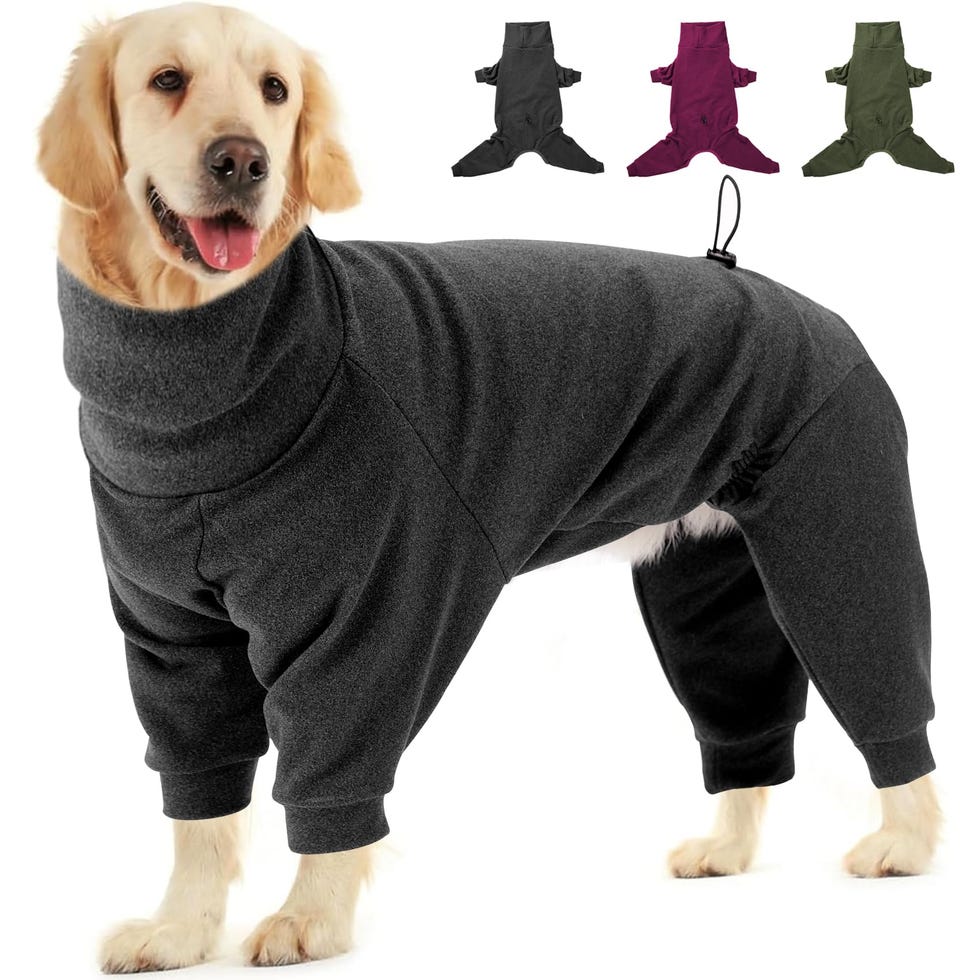 Forro polar cálido de cuatro patas para perro