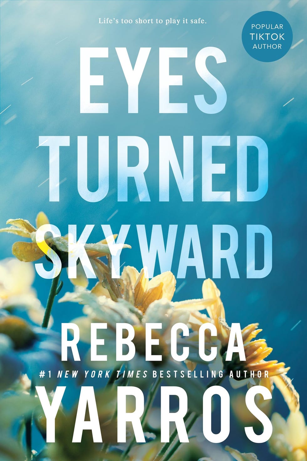 <i>Eyes Turned Skyward</i> by Rebecca Yarros (2014)