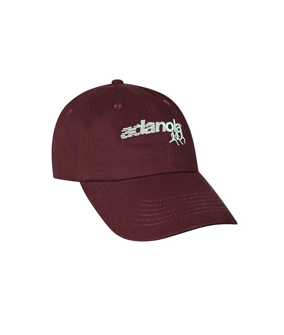 Kendall Jenner 着用【ADANOLA】Varsity Cap 国内発送 Kendall Jenner Fronts Adanola's January 2025 Campaign