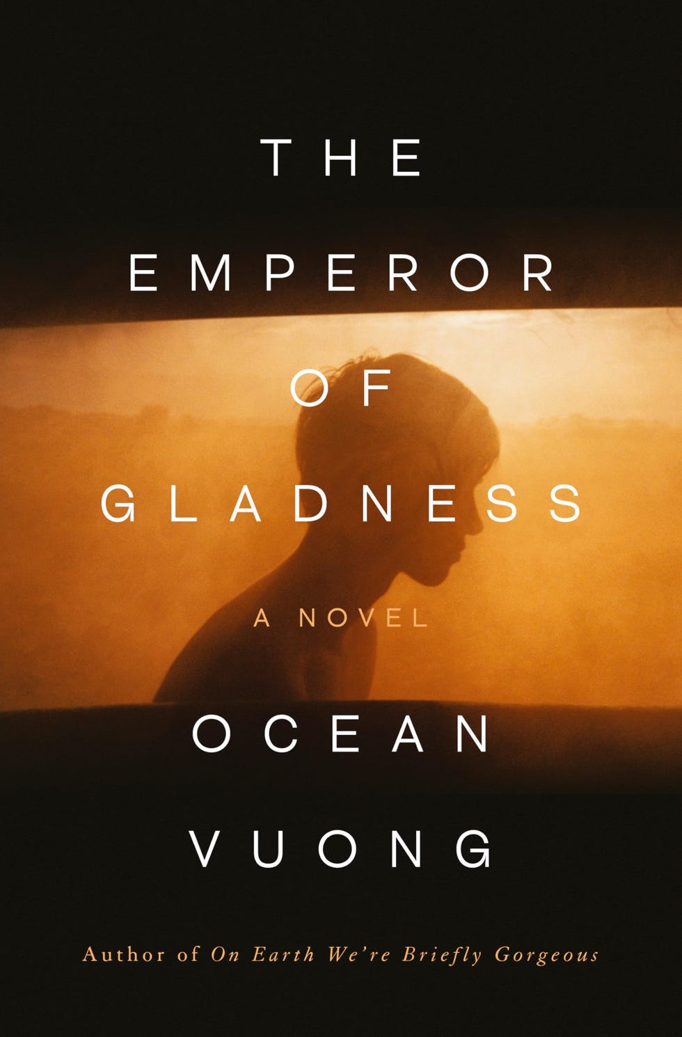 <i>O Imperador da Alegria</i> de Ocean Vuong