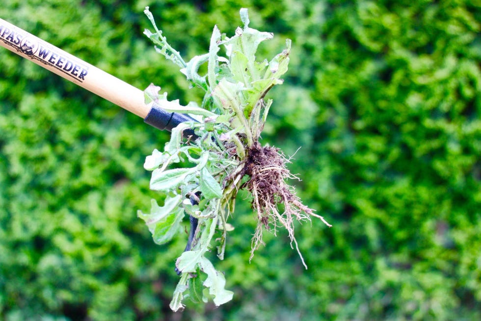 Original Stand-Up Weed Puller Tool