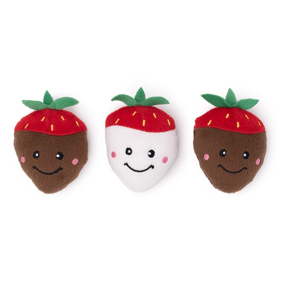 Chocolate Covered Strawberry Toys