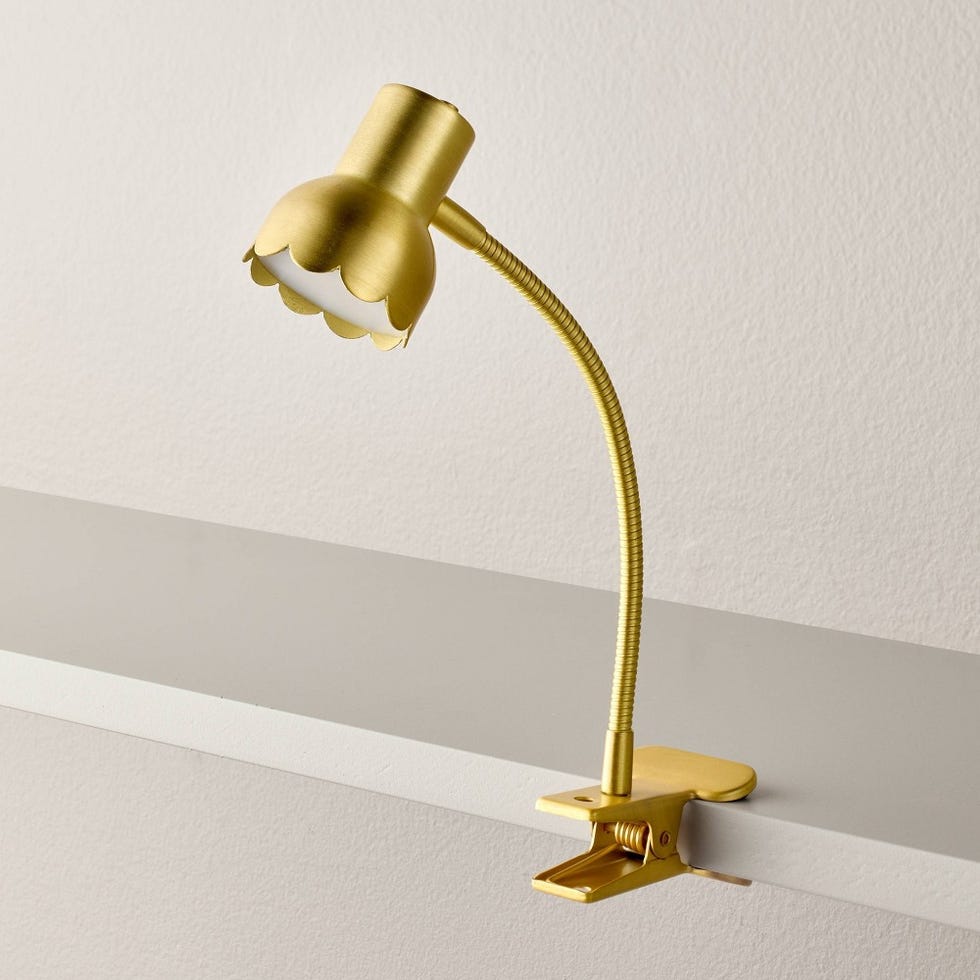 Scalloped Brass Clip Light