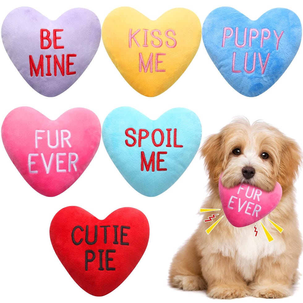 Squeaky Candy Heart Toys (Set of 6)