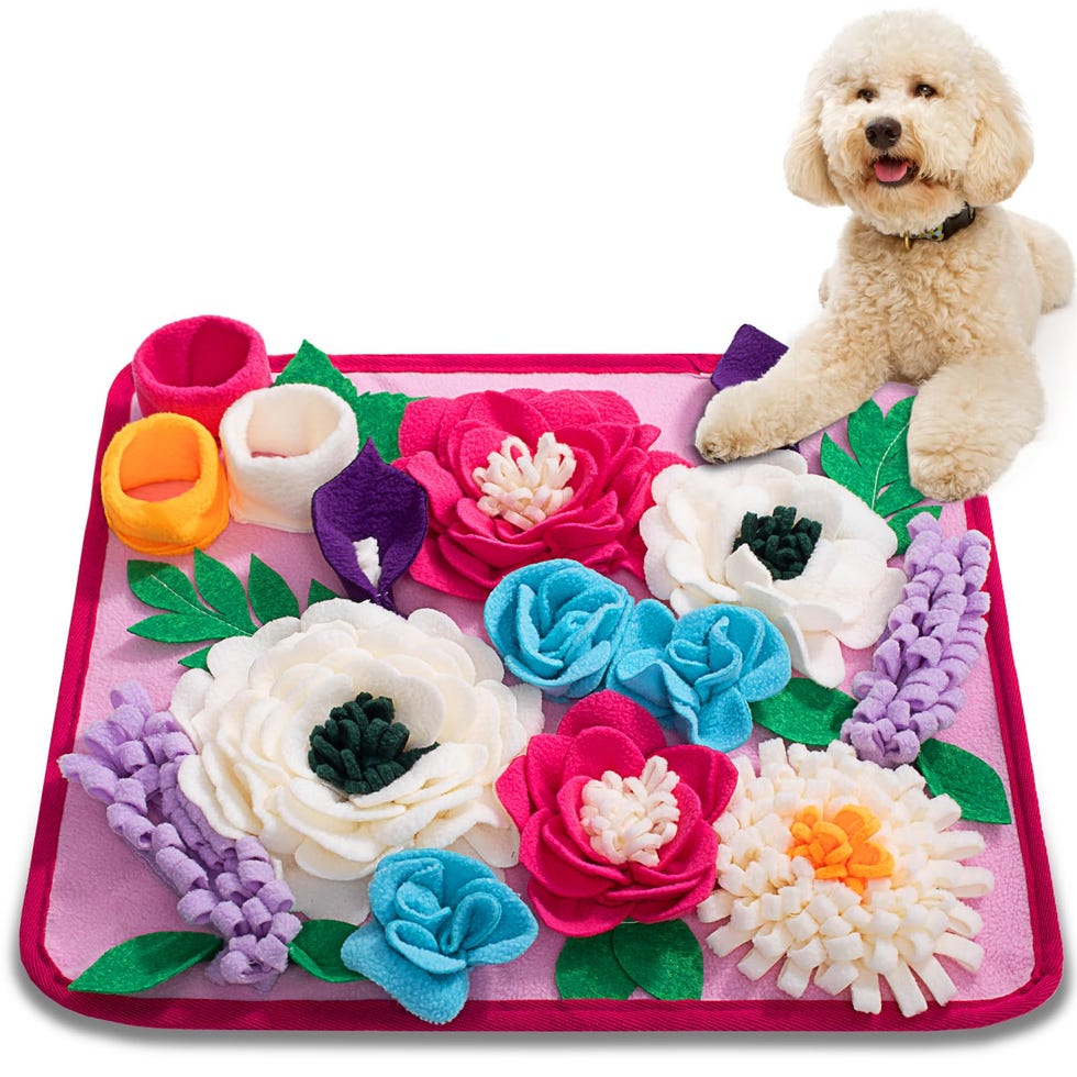 Snuffle Mat for Dogs