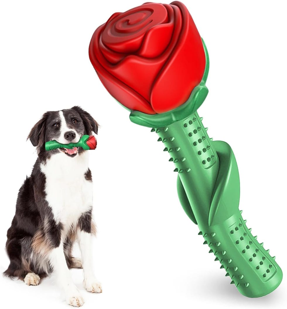 Rose Chew Toy