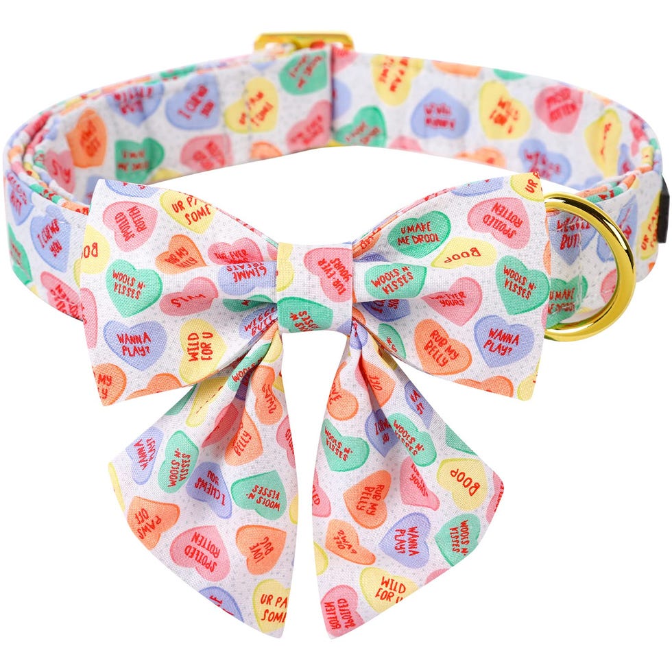 Candy-Themed Dog Collar