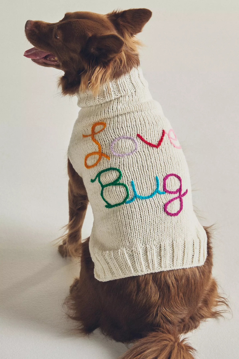 Love Bug Pet Sweater