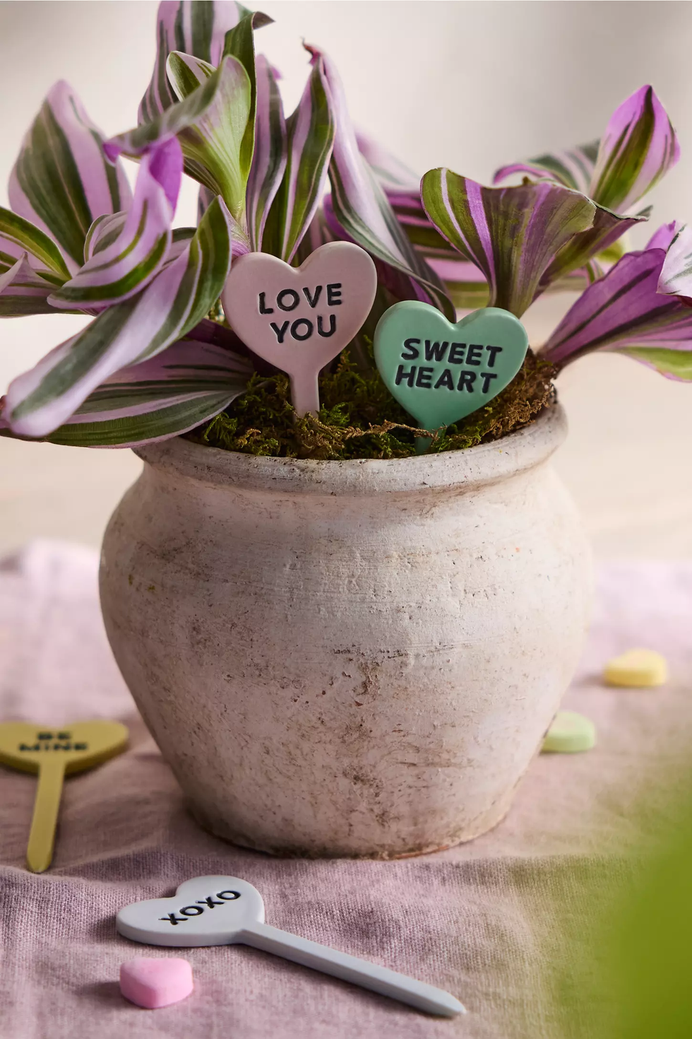 Conversation Heart Plant Stakes Set