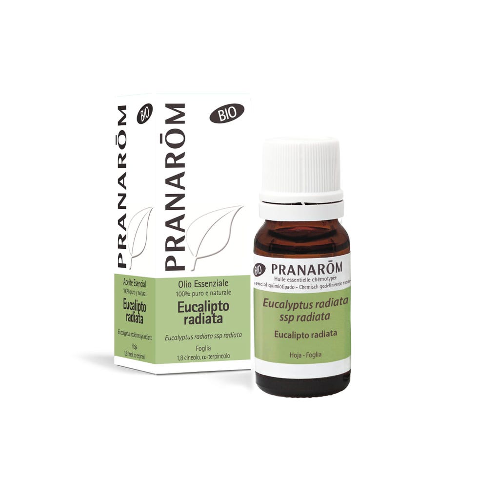  Eucalipto Olio Essenziale 100% Puro e Naturale