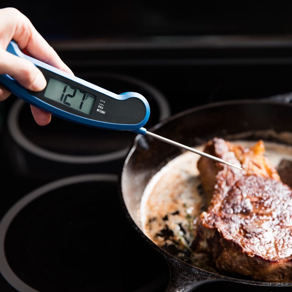 Lavatools PX1D Javelin PRO Duo Grill Thermometer