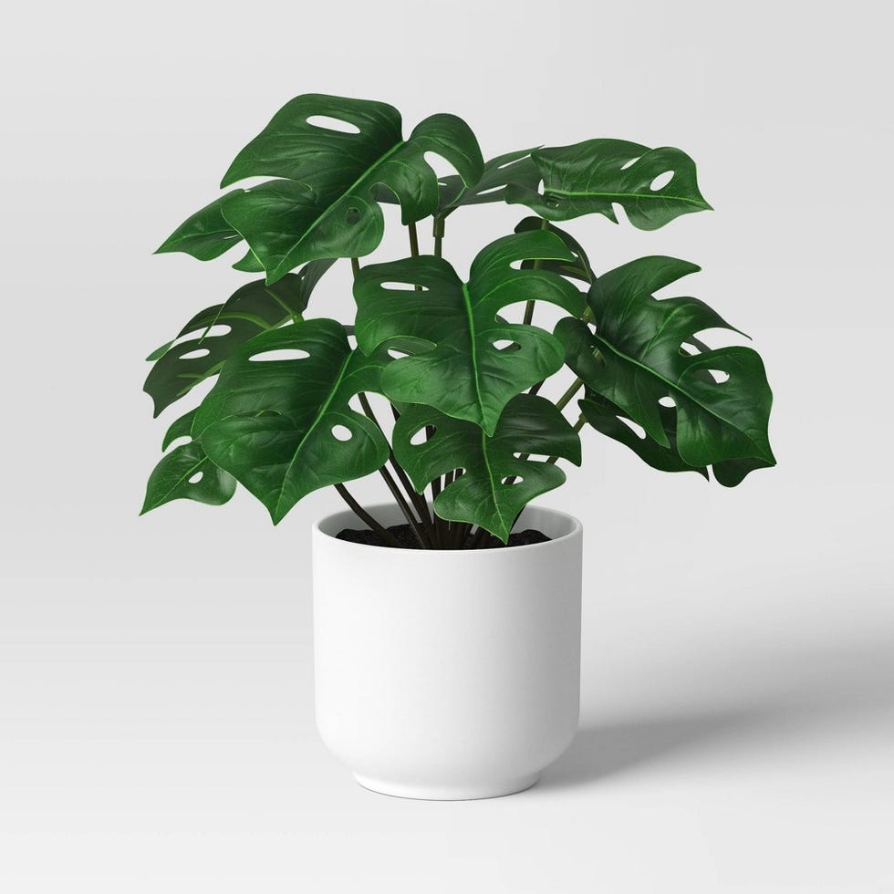 Monstera Artificial Plant