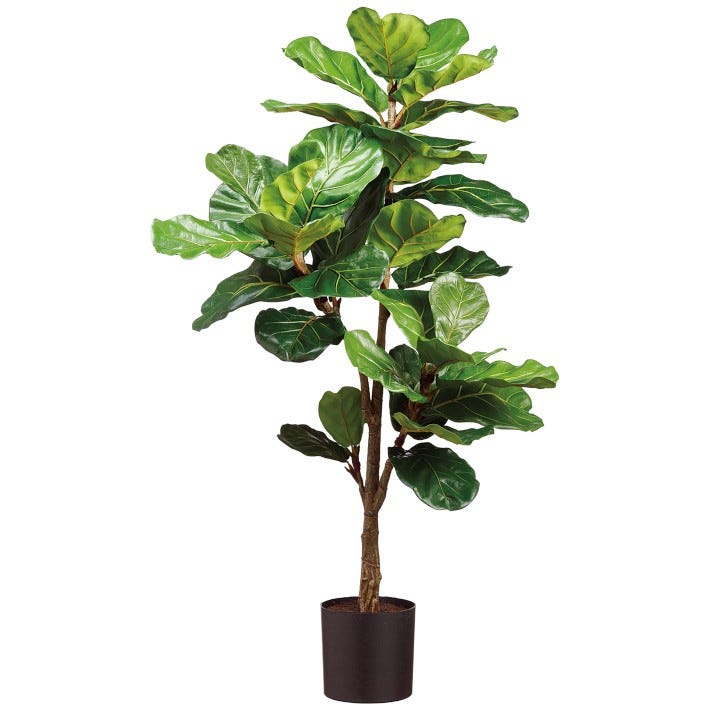Faux Fiddle Leaf Plant