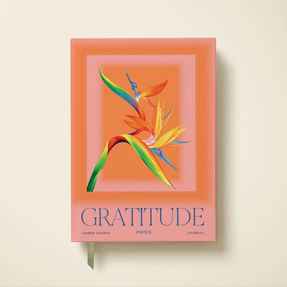 Bird of Paradise