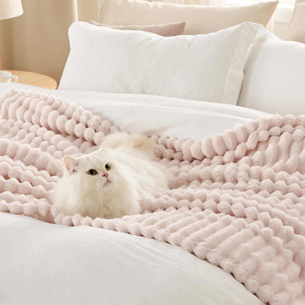 Pink Throw Blanket 