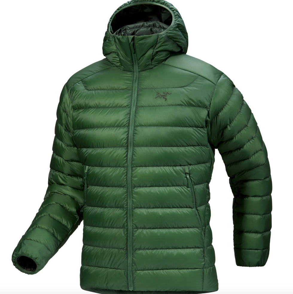 Arc'teryx Cerium Down Hoodie - Men's
