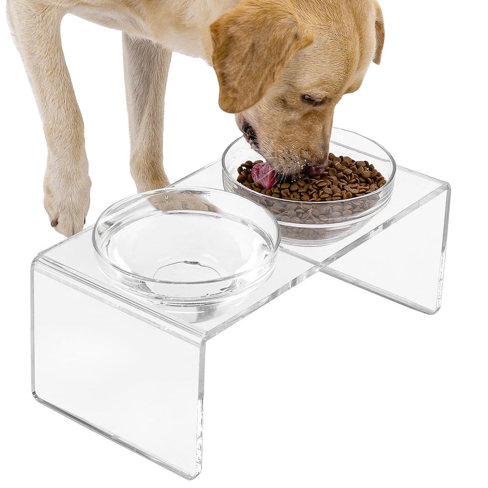 Acrylic Elevated Dog Bowls