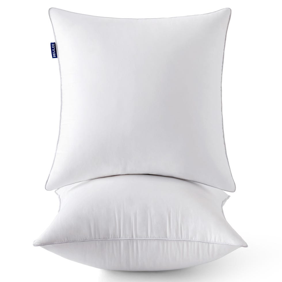 Pillow Inserts (Set of 2)  