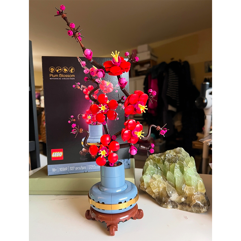 Plum Blossom