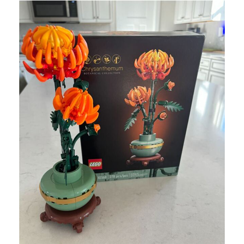 Chrysanthemum