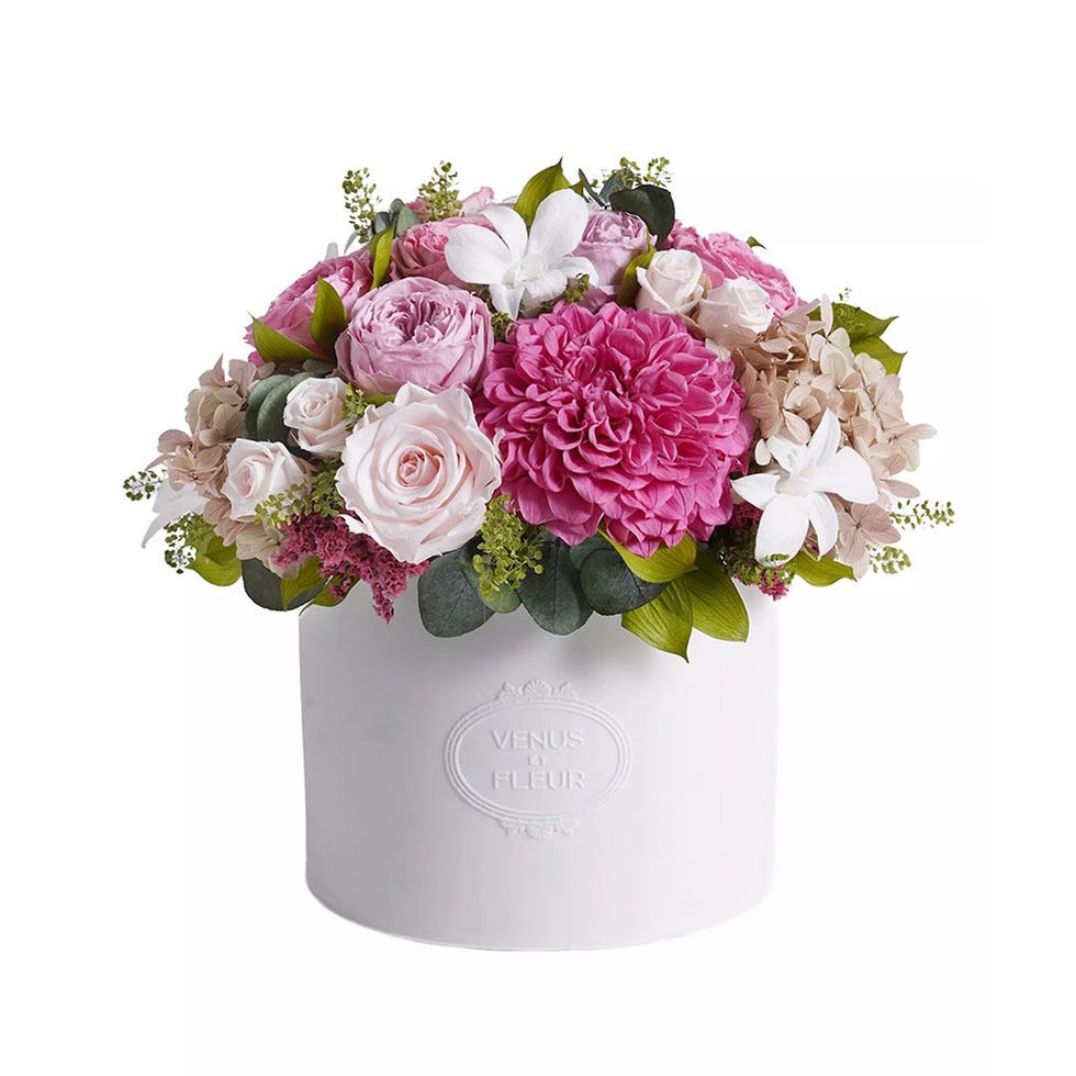 Thalia Porcelain Vase 