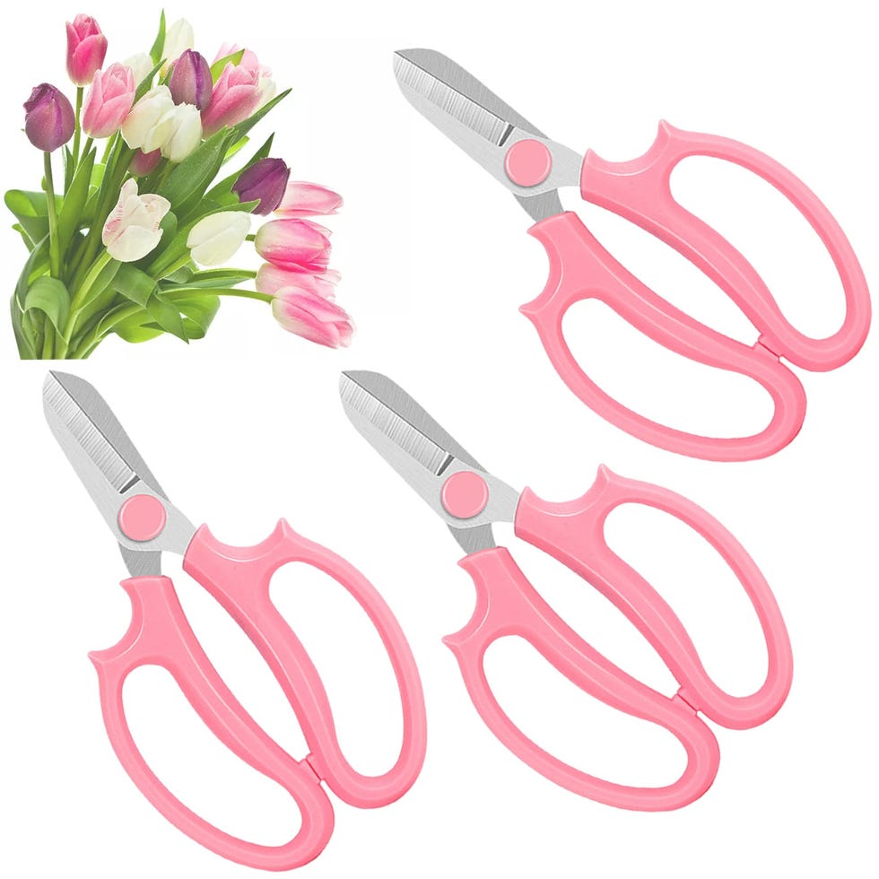 Garden Scissors