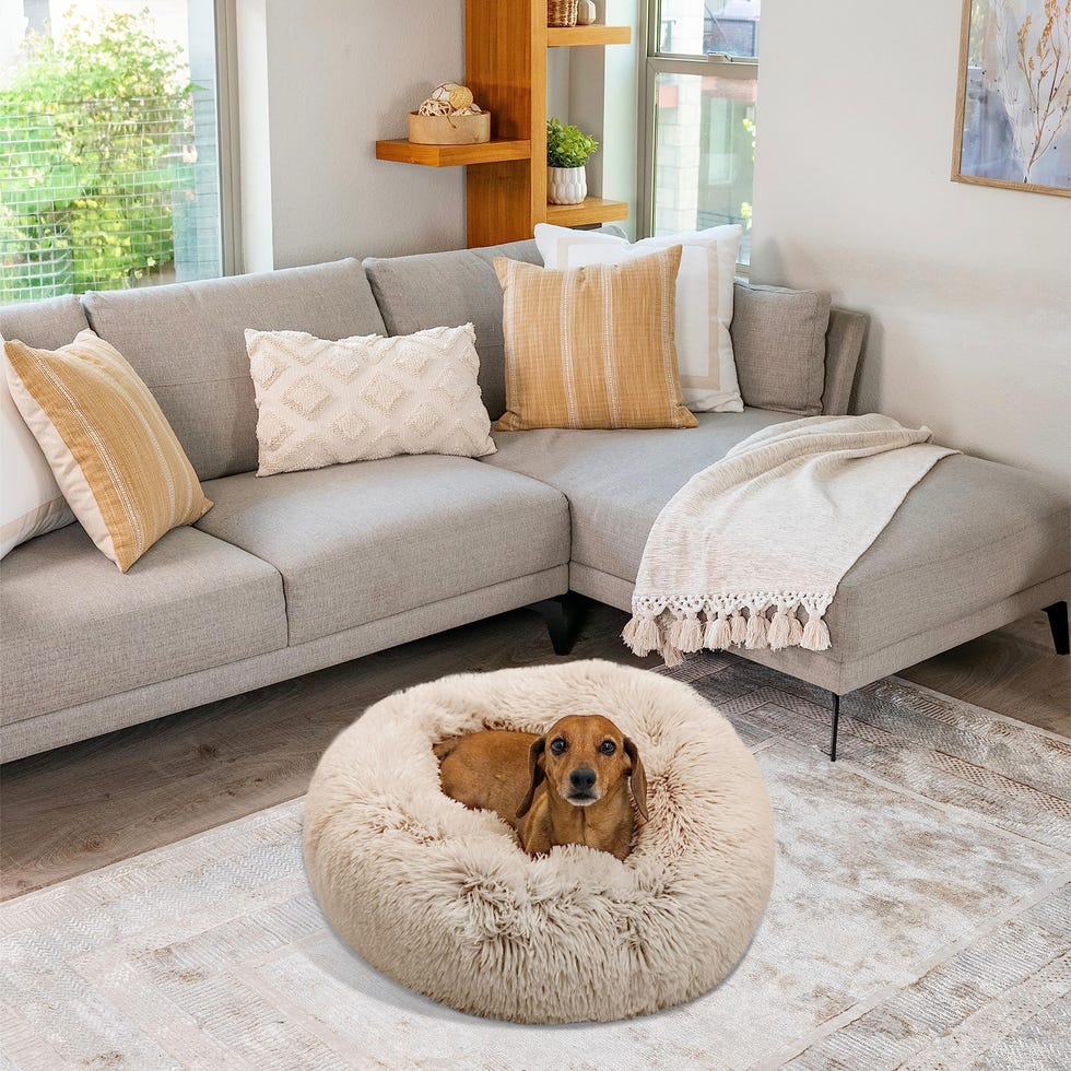 The Original Calming Donut Cat and Dog Bed