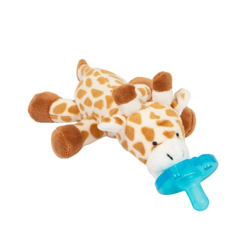 Plush Pacifier Toy 