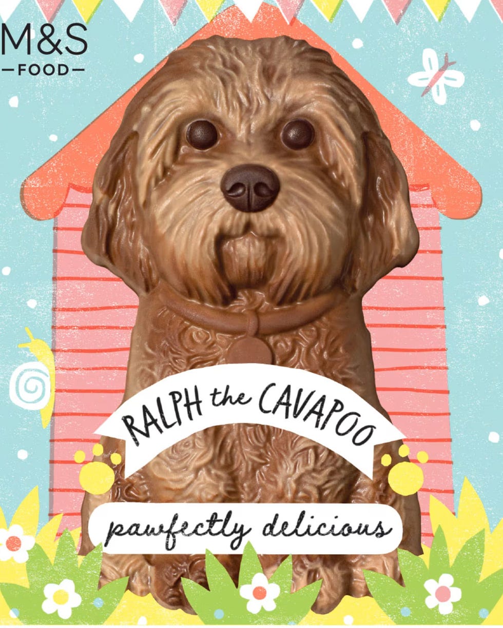Ralph the Cavapoo Hollow Chocolate Figure