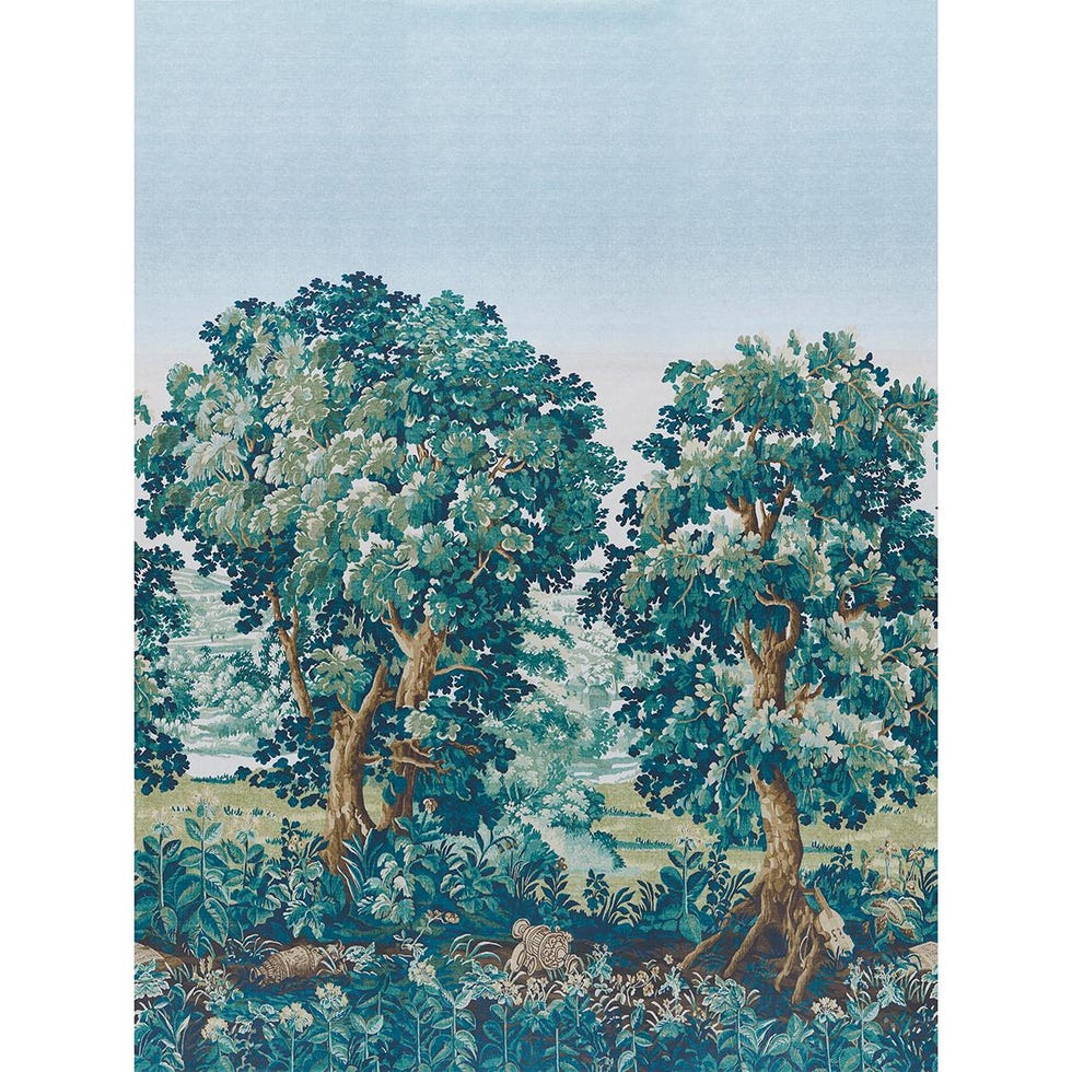 La Forêt 