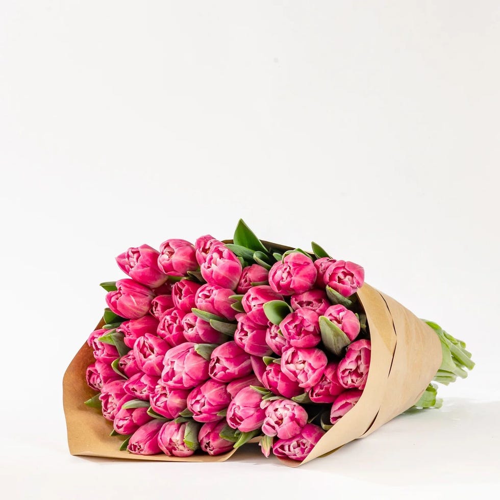 Cerise Double Tulips Bouquet