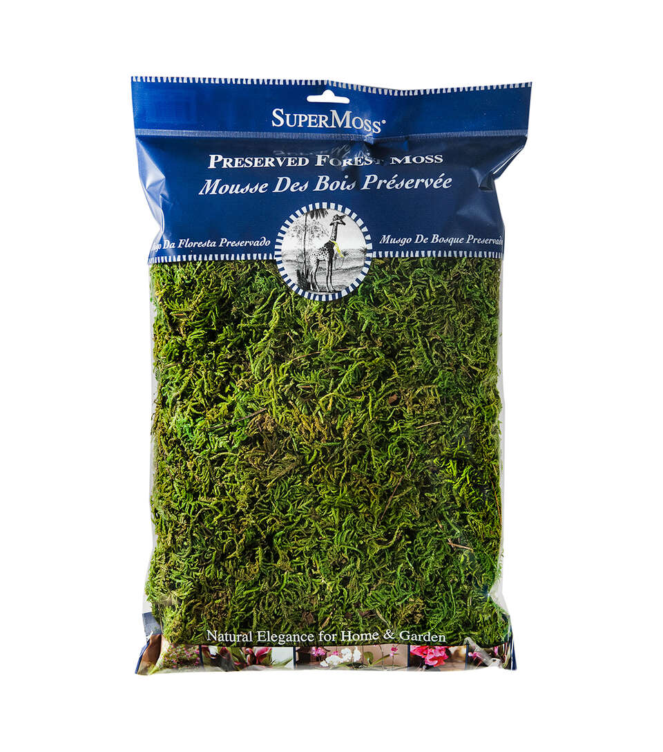 Preserved Fresh Forest Moss