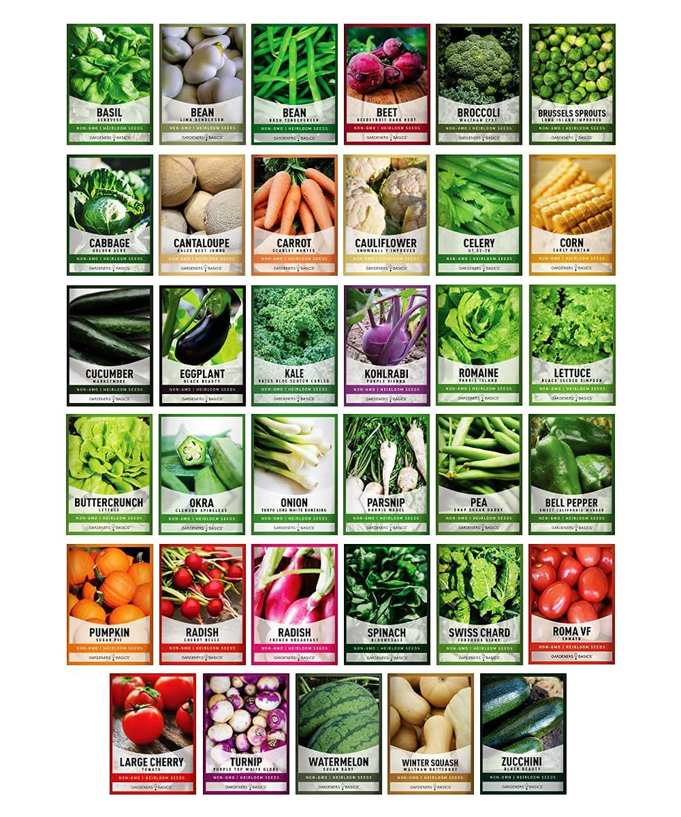 Vegetable Seeds