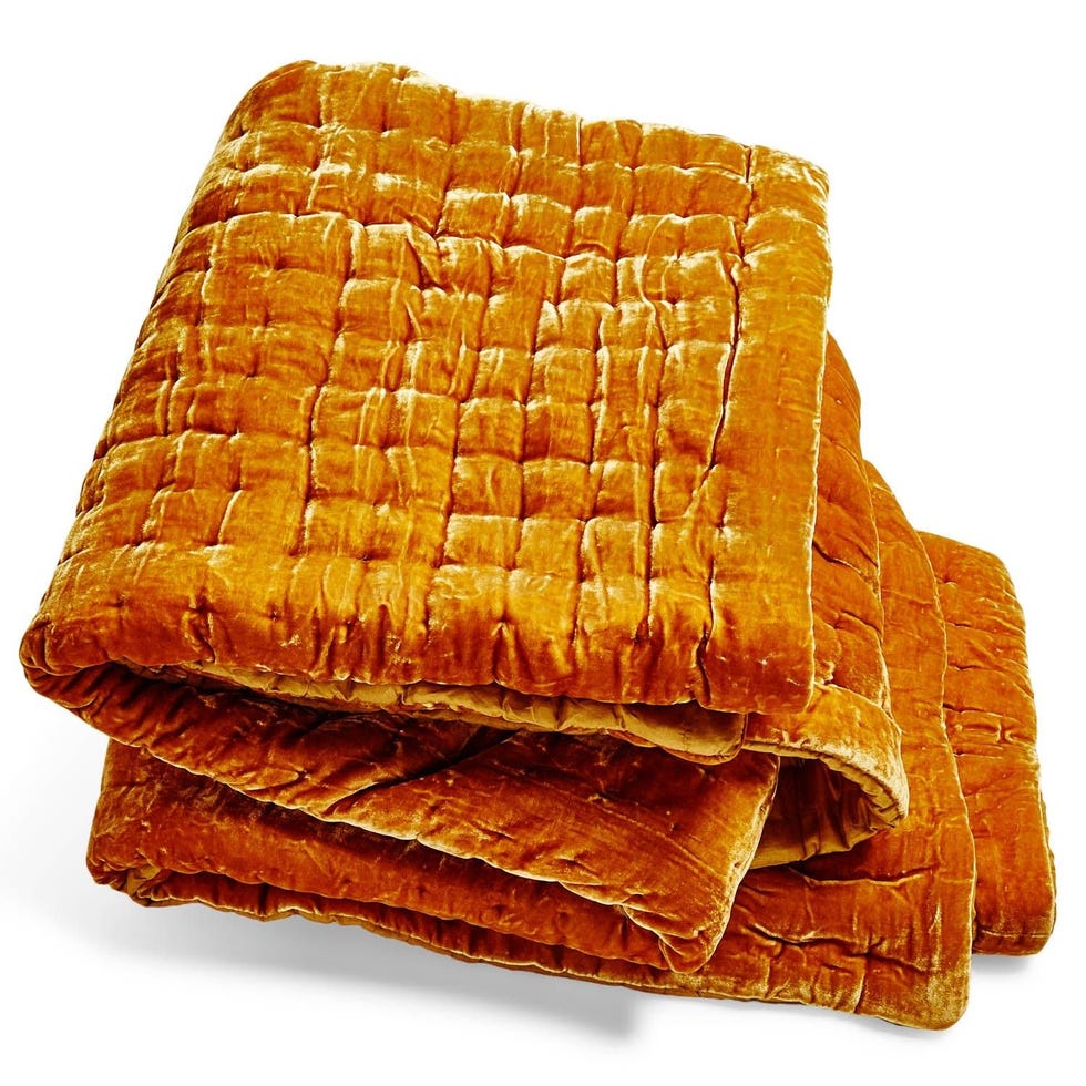 Luminous Velvet Throw
