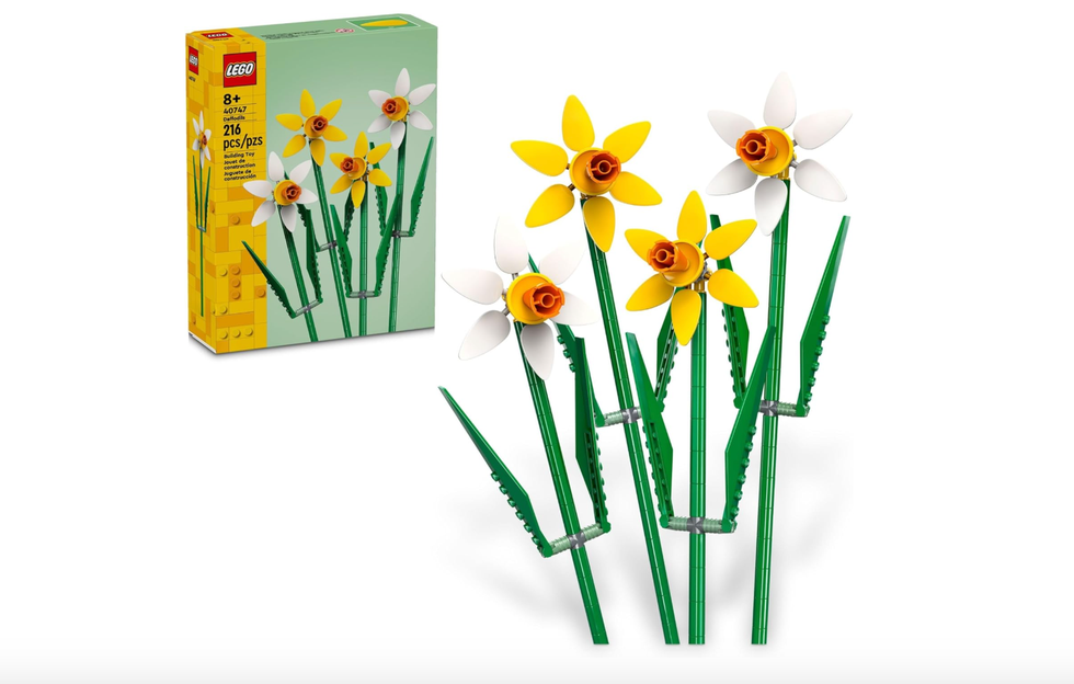 Daffodils Set