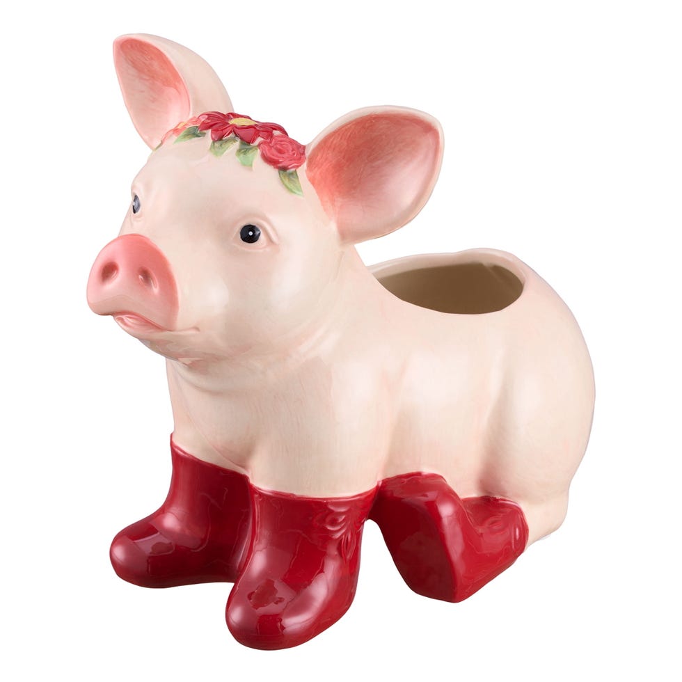 The Pioneer Woman Pig Planter
