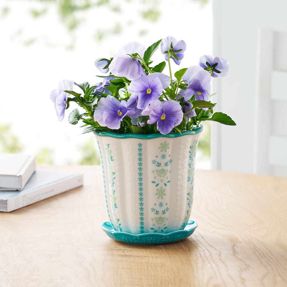 The Pioneer Woman Scallop Planter