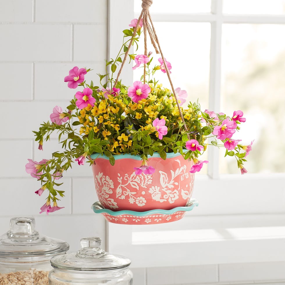 The Pioneer Woman Besty Hanging Planter