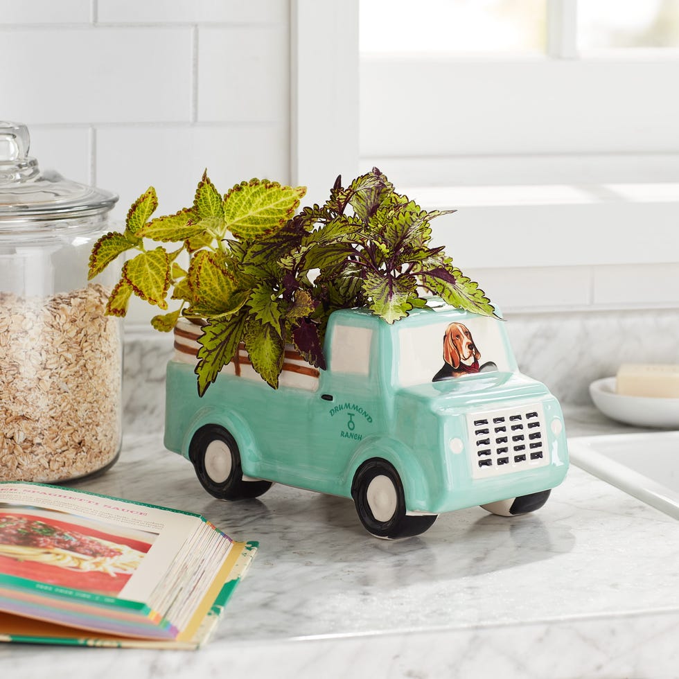 The Pioneer Woman Drummond Truck Planter