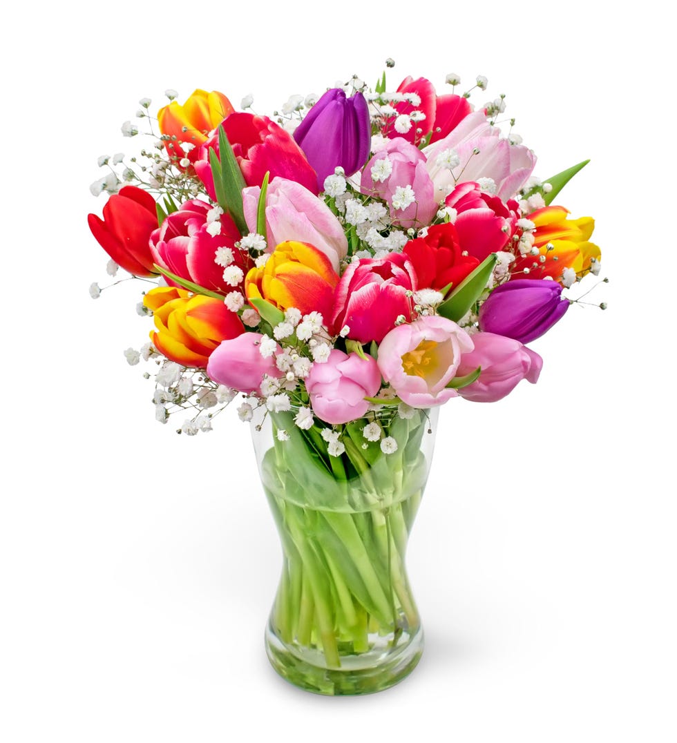 Tulip Bundle