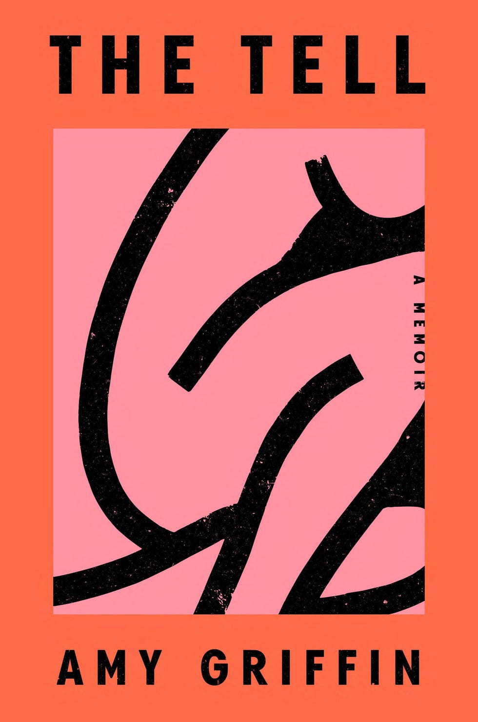 <i>La revelación</i> de Amy Griffin