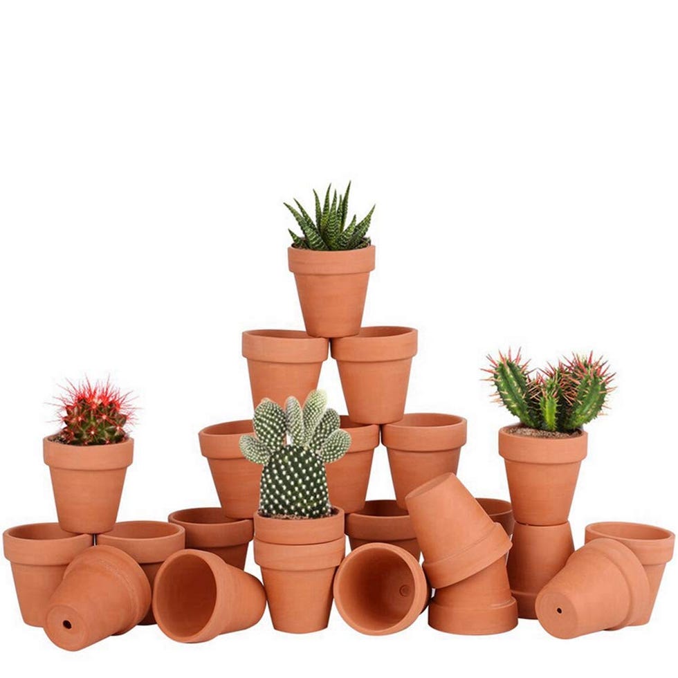 Mini Clay Pots 