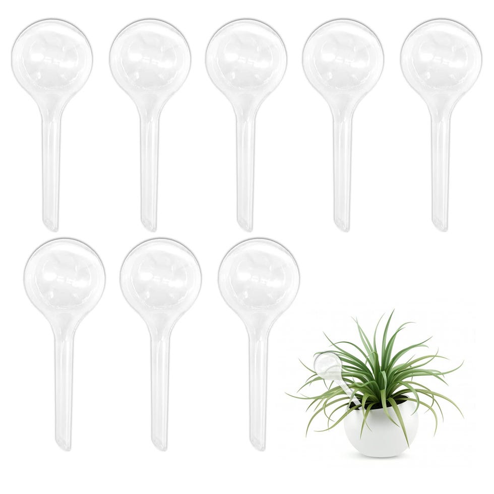 Plant Watering Globes (set of 8)