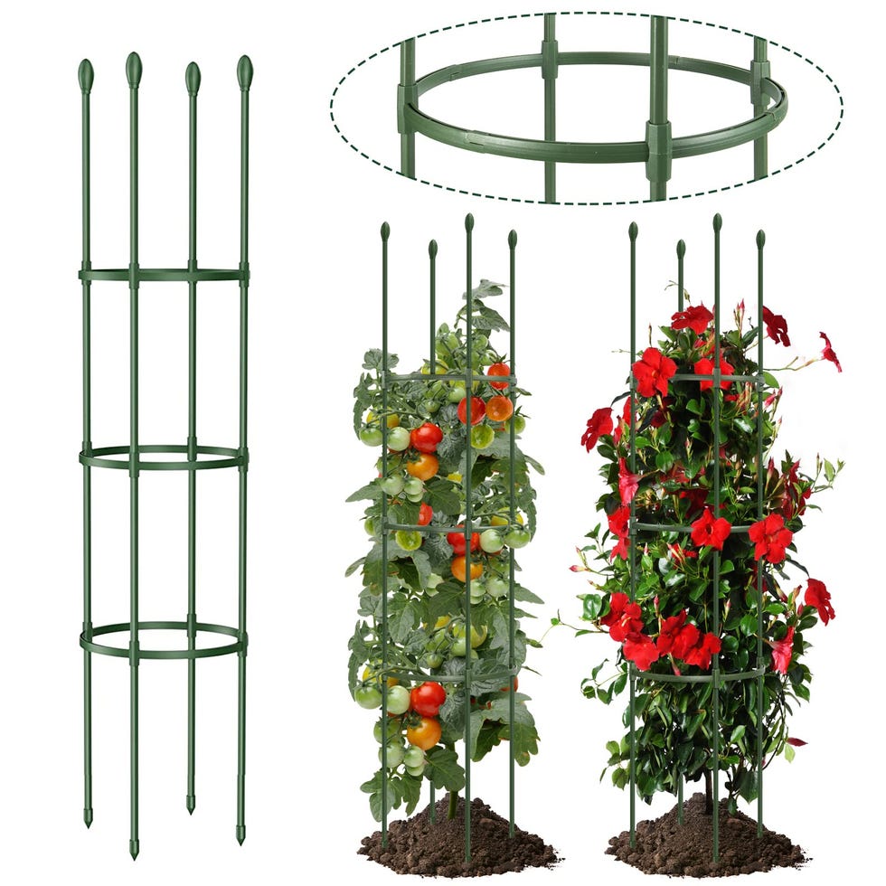 Garden Trellis 