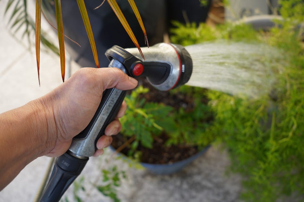 PRO Thumb Control Multi-Pattern Nozzle