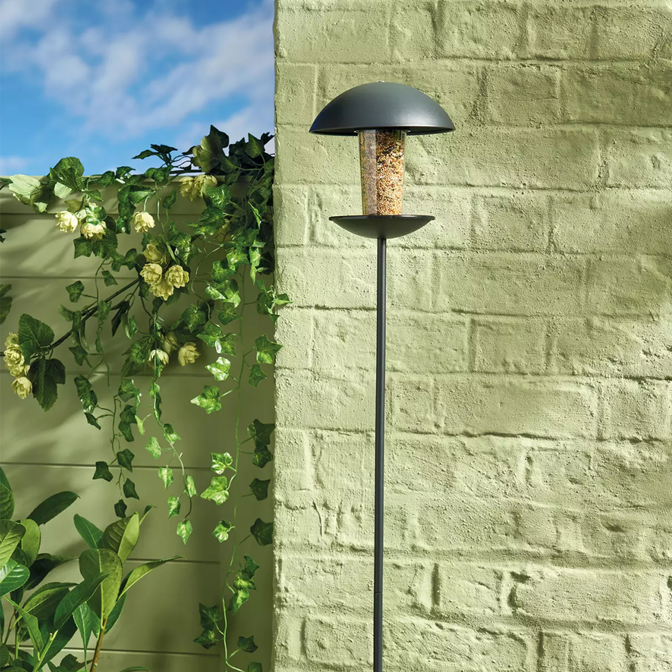 Bird Feeding Station