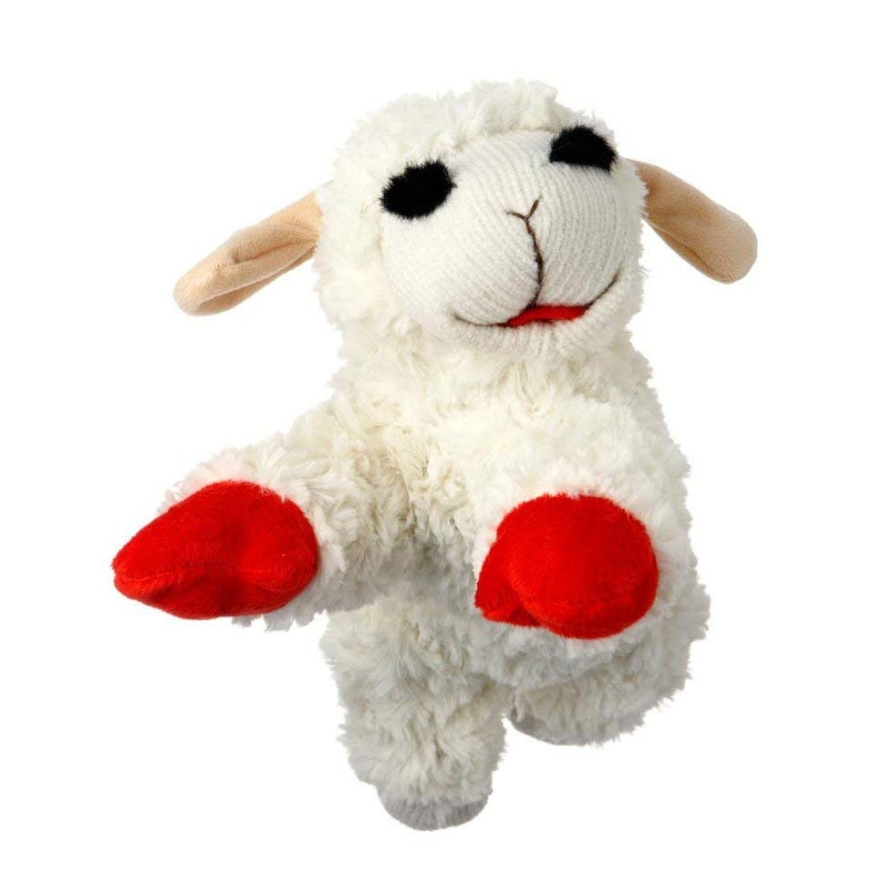 Lamb Chop Dog Toy