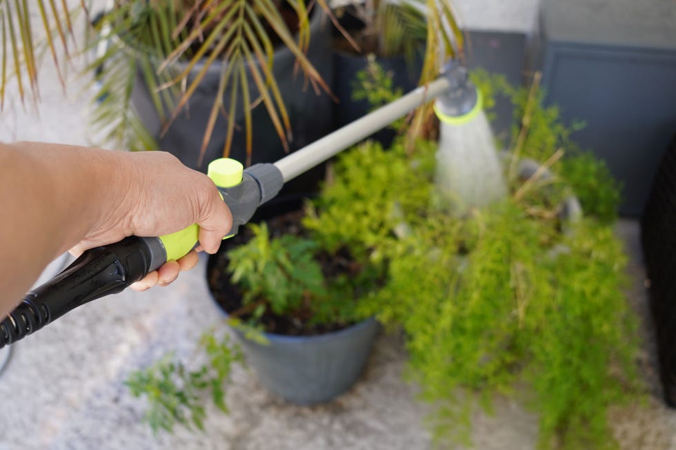 Adjustable Watering Wand