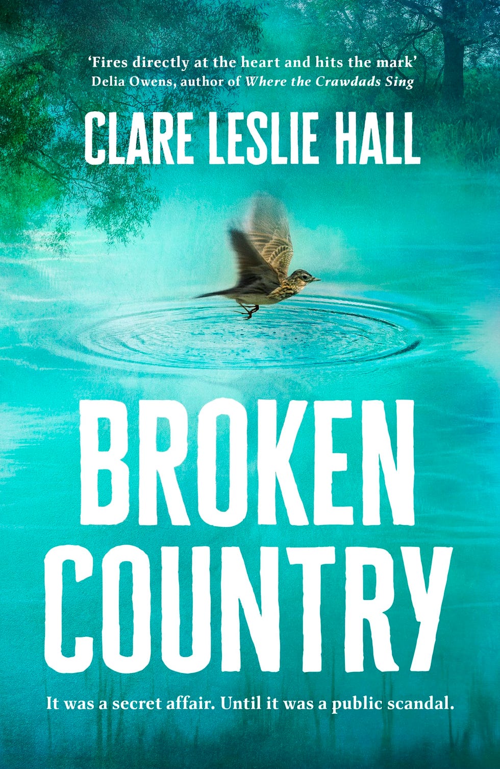 Broken Country by Clare Leslie Hall