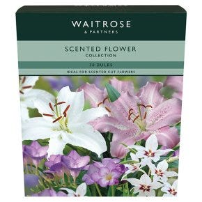 Waitrose fragrance flower collection light bulb